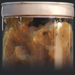 Sulfuric acid chemical structure