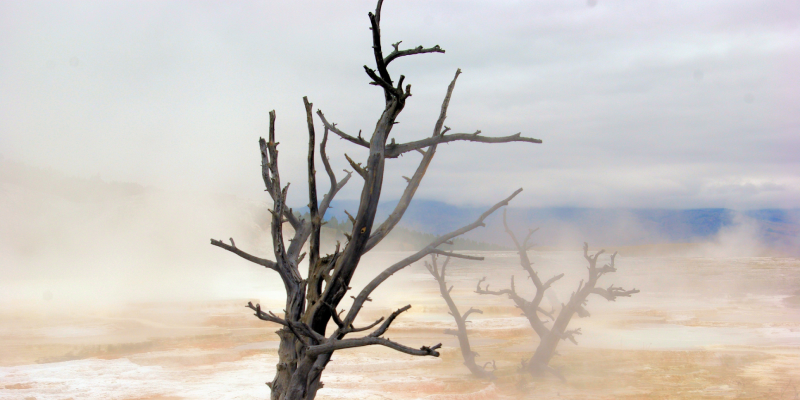 Water Scarcity illustration