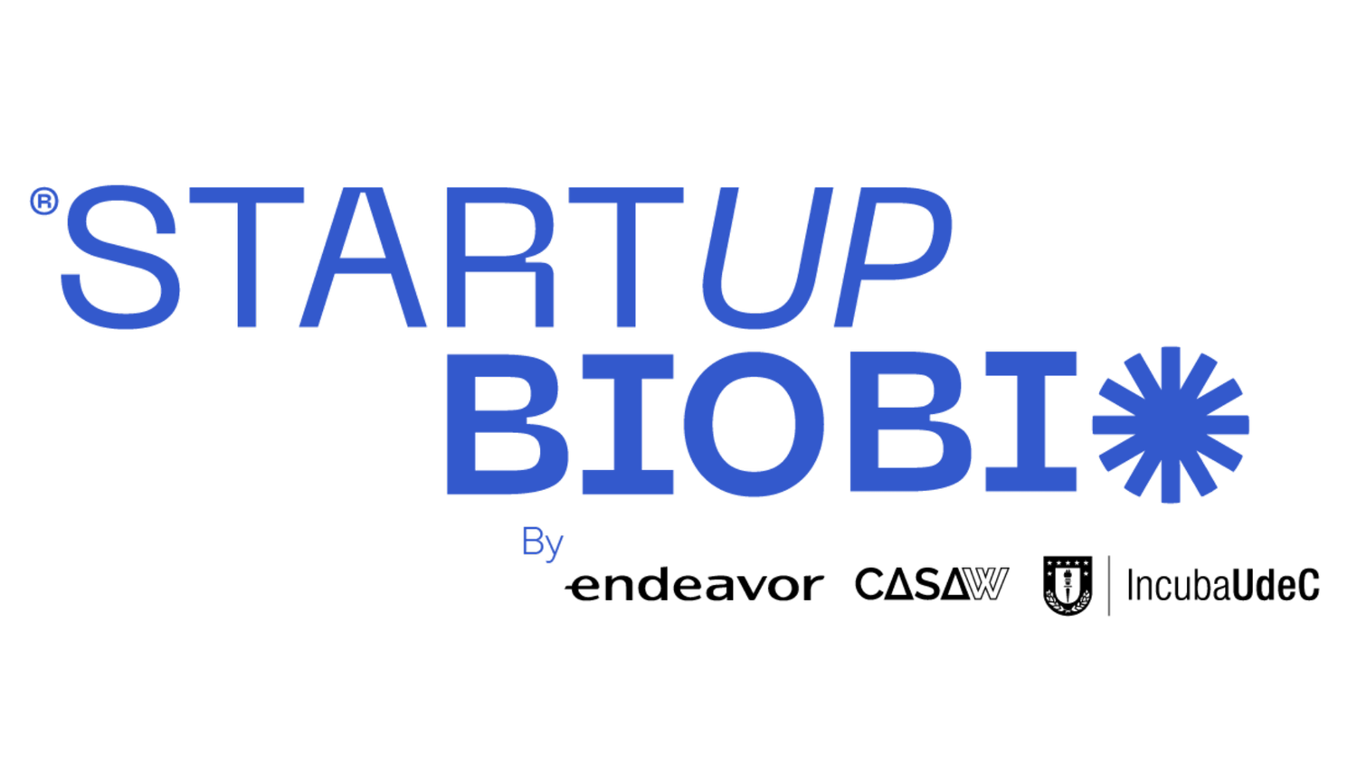 Startup Biobío entrepreneurship ecosystem