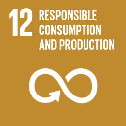 UN SDG 12: Responsible Consumption and Production
